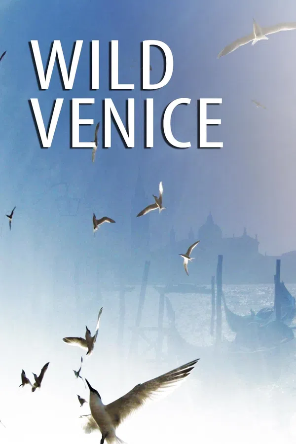 Thiên Nhiên Hoang Dã Venice Vietsub - Motchill